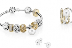 Коллекция СЕМЕЙНЫЕ ЦЕННОСТИ в Pandora Коллекция СЕМЕЙНЫЕ ЦЕННОСТИ в Pandora