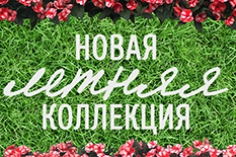 Новая коллекция ЛЕТО 2016 в SODA Firenze! Новая коллекция ЛЕТО 2016 в SODA Firenze!