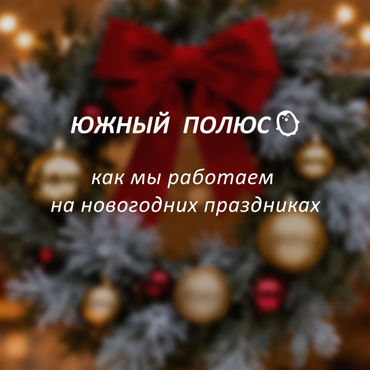 График работы ТРК «Южный Полюс» в новогодние праздники