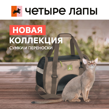 Новая коллекция сумок-переносок от зоосети «Четыре Лапы» Новая коллекция сумок-переносок от зоосети «Четыре Лапы»